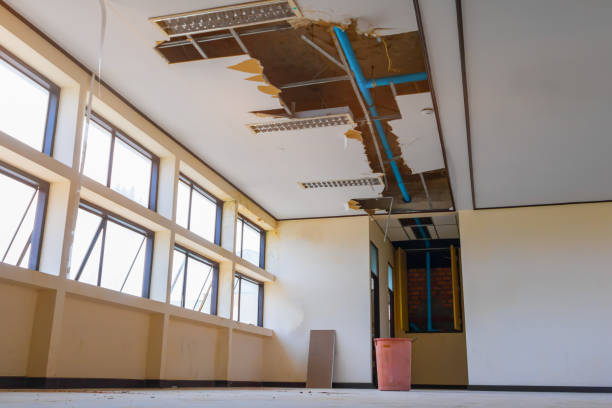 Best Water damage restoration near me  in Wilton, IA