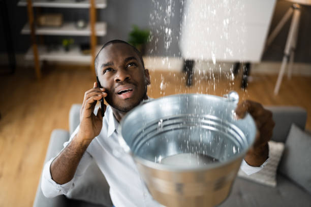  Wilton, IA Water damage restoration Pros