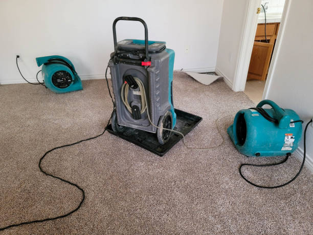 Best Water damage cleanup near me  in Wilton, IA