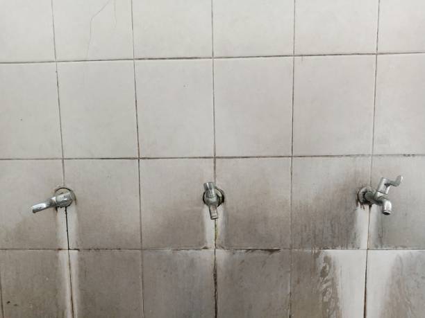 Best Residential water damage restoration  in Wilton, IA