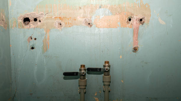 Best Ceiling water damage repair  in Wilton, IA