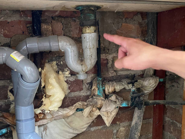 Best Commercial water damage restoration  in Wilton, IA
