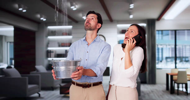 Best 24-hour water damage restoration  in Wilton, IA